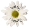 Daisy Nursery Ltd