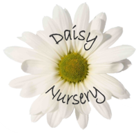 Daisy Nursery Ltd