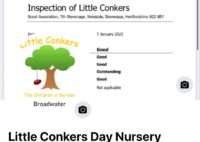 Little Conkers